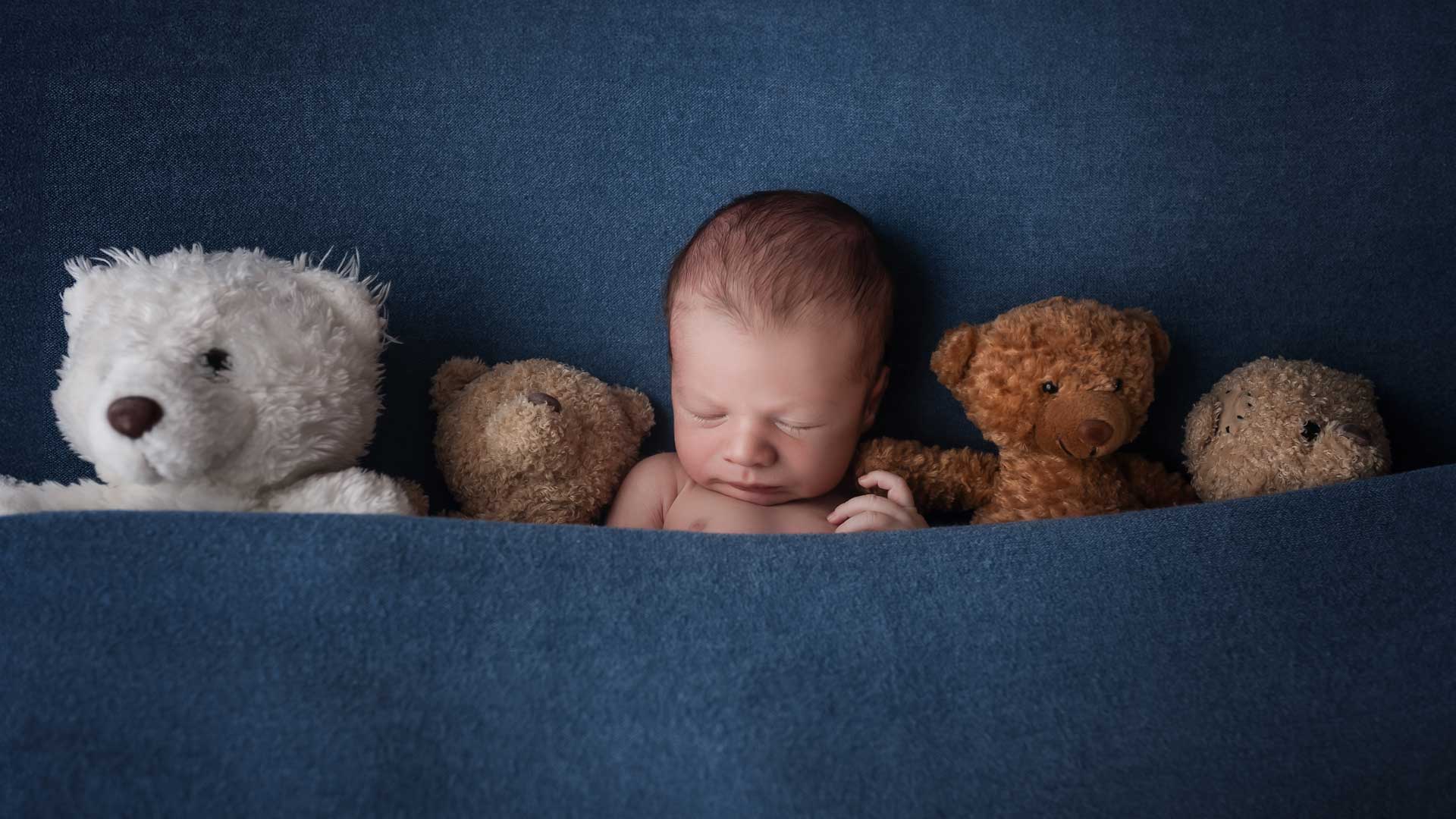 Fotoliesl-Familienfotografie-Baby-Teddys