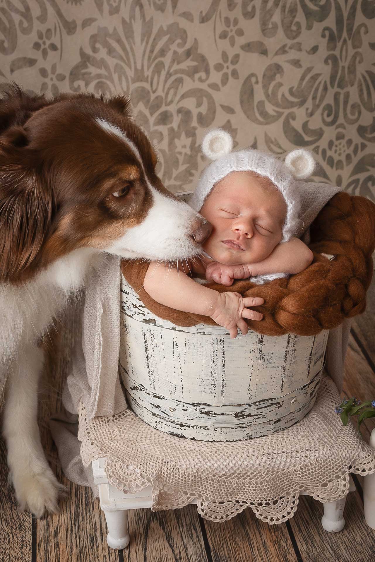 Fotoliesl-Familienfotografin-Neugeborenen-Hoch